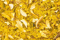 Tisane Spicy Shiitake