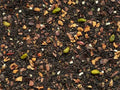 Tè Nero Choco Pistacchio