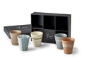 Tazze Cup Japan 5pz