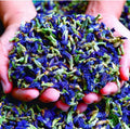 Tisane Butterfly Pea Flower