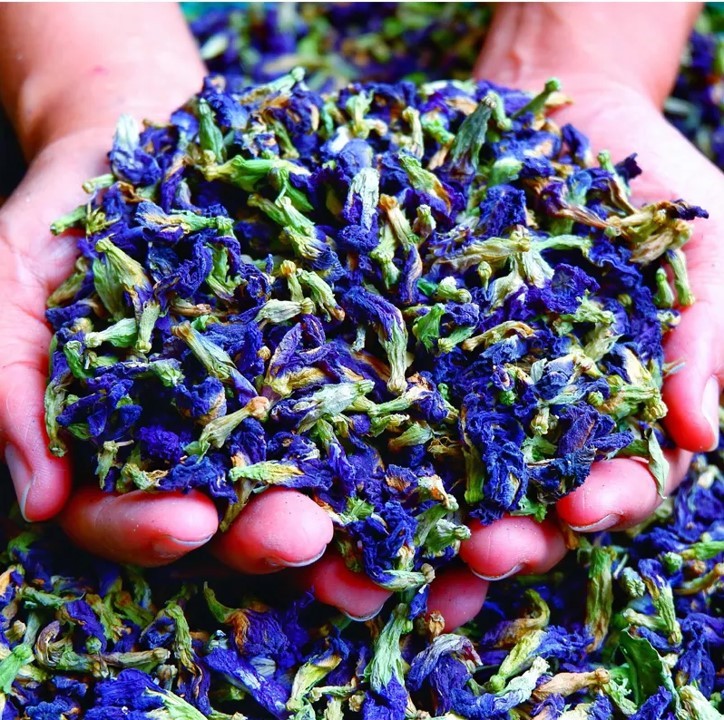 Tisane Butterfly Pea Flower